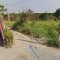 ขายที่ดิน ใน พานทอง ชลบุรี, หนองหงส์, พานทอง
