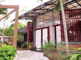 4 Schlafzimmer Haus zu verkaufen in Pattaya, Chon Buri, Khao Mai Kaeo, Pattaya, Chon Buri