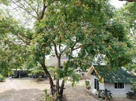 4 Bedroom House for sale in Chiang Mai International Airport, Suthep, Nong Phueng