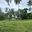  Land for sale in Mai Khao, Phuket, Mai Khao, Thalang