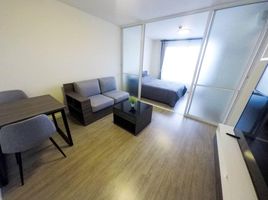 1 Bedroom Apartment for rent at D Condo Ping, Fa Ham, Mueang Chiang Mai