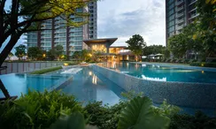 图片 2 of the Communal Pool at 333 Riverside