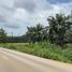  Land for sale in Bo Rai, Trat, Nong Bon, Bo Rai