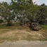  Land for sale in San Sai Chiang Mai, Pa Phai