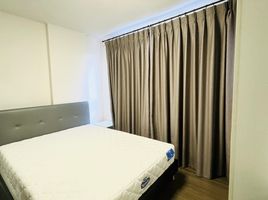 1 Schlafzimmer Appartement zu vermieten im D Condo Creek, Kathu, Kathu