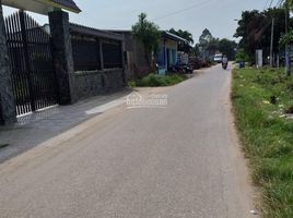3 Bedroom House for sale in Tan Thanh Dong, Cu Chi, Tan Thanh Dong