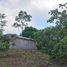  Land for sale in Brazil, Anama, Amazonas, Brazil