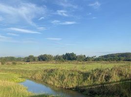 ขายที่ดิน ใน มะขาม จันทบุรี, มะขาม, มะขาม