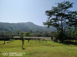  Grundstück zu verkaufen in Mae Taeng, Chiang Mai, Inthakhin, Mae Taeng