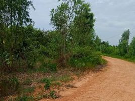  Grundstück zu verkaufen in Mueang Chaiyaphum, Chaiyaphum, Ban Lao, Mueang Chaiyaphum, Chaiyaphum