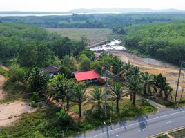 ขายที่ดิน ใน ท้ายเหมือง พังงา, ทุ่งมะพร้าว, ท้ายเหมือง