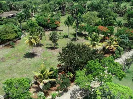  Grundstück zu verkaufen in Sosua, Puerto Plata, Sosua