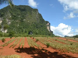  Grundstück zu verkaufen in Mueang Krabi, Krabi, Nong Thale