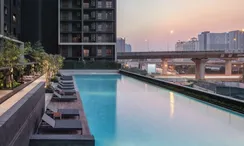 Фото 2 of the Communal Pool at Metris Rama 9-Ramkhamhaeng