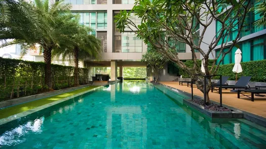 Фото 3 of the Communal Pool at The Room Sukhumvit 21