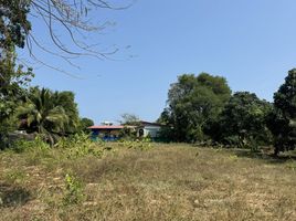  Land for sale in Phuket, Rawai, Phuket Town, Phuket