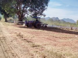  Grundstück zu verkaufen in Pak Chong, Nakhon Ratchasima, Nong Nam Daeng, Pak Chong, Nakhon Ratchasima