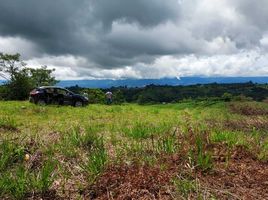 Land for sale in Costa Rica, Coto Brus, Puntarenas, Costa Rica