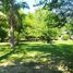  Land for sale in Tigre, Buenos Aires, Tigre