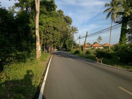  Grundstück zu verkaufen in Mueang Prachuap Khiri Khan, Prachuap Khiri Khan, Ko Lak