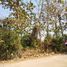  Land for sale in Nakhon Ratchasima, Chai Mongkhon, Mueang Nakhon Ratchasima, Nakhon Ratchasima