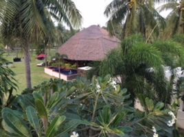 ขายคอนโด 2 ห้องนอน ในโครงการ The Beach Village, สามร้อยยอด, สามร้อยยอด, ประจวบคีรีขันธ์
