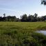  Land for sale in Trat, Wang Krachae, Mueang Trat, Trat