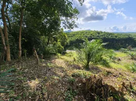  Land for sale in Khlong Khian, Phangnga, Khlong Khian, Takua Thung
