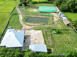 3 Schlafzimmer Haus zu verkaufen in Chaloem Phra Kiat, Nakhon Ratchasima, Tha Chang