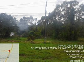  Land for sale in Surat Thani, Khlong Sai, Tha Chang, Surat Thani