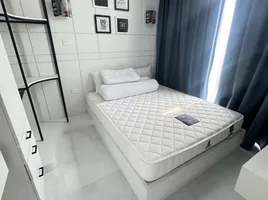 คอนโด 2 ห้องนอน ให้เช่า ในโครงการ เดอะ แกรนด์ จอมเทียน พัทยา บีช, เมืองพัทยา, พัทยา