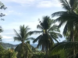  Grundstück zu verkaufen in Ko Pha-Ngan, Surat Thani, Ko Tao