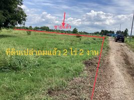  Land for sale in Kai Sao, Nong Saeng, Kai Sao