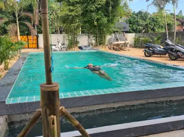 4 Bedroom House for sale in Na Noi, Nan, Na Noi, Na Noi