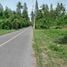  Land for sale in Don Sak Surat Thani, Don Sak, Don Sak