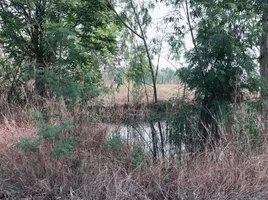  Grundstück zu verkaufen in Nam Phong, Khon Kaen, Muang Wan