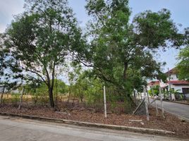  Land for sale in Bang Phai, Bang Khae, Bang Phai