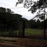  Land for sale in Grecia, Alajuela, Grecia