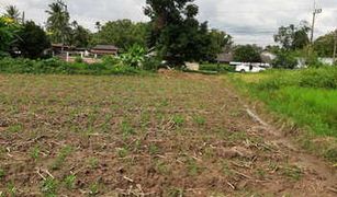 N/A Grundstück zu verkaufen in Mae Rai, Chiang Rai 