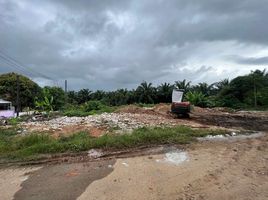  Grundstück zu verkaufen im Suthawan Village 2, Bang Non, Mueang Ranong