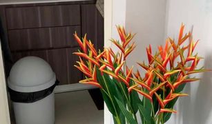 3 Bedrooms House for sale in Talat Bang Khen, Bangkok Town Avenue Vibhavadi 60