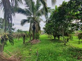  Land for sale in Loei, Mueang, Mueang Loei, Loei