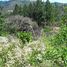  Land for sale in Chame, Panama Oeste, Sora, Chame