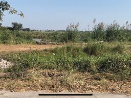  Grundstück zu verkaufen in Bang Sai, Phra Nakhon Si Ayutthaya, Mai Tra