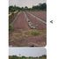  Land for sale in Mueang Phichit, Phichit, Ban Bung, Mueang Phichit