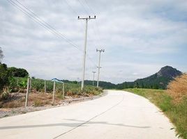  Land for sale in Wang Phong, Pran Buri, Wang Phong