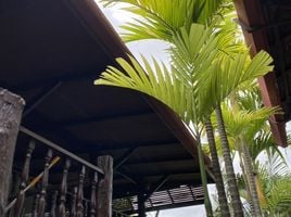 2 Schlafzimmer Villa zu vermieten im Phuket-Thaihouse, Thep Krasattri, Thalang, Phuket, Thailand