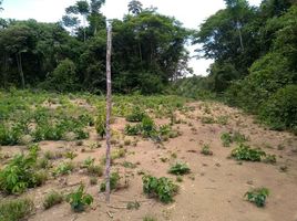  Land for sale in Autazes, Amazonas, Autazes