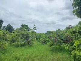  Grundstück zu verkaufen in San Pa Tong, Chiang Mai, Makhun Wan