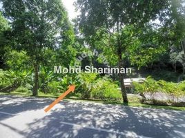  Land for sale in Padang Masirat, Langkawi, Padang Masirat